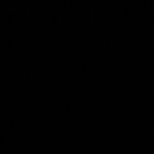 Meet your Posher, Brock